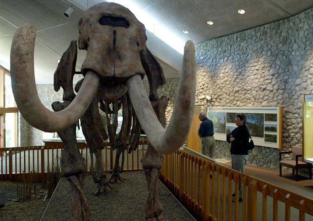 mastodon